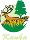 footer-logo
